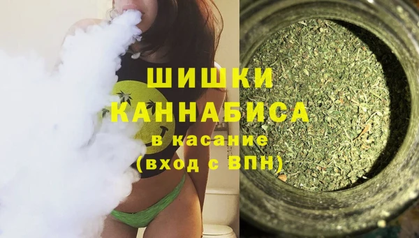 PSILOCYBIN Балахна