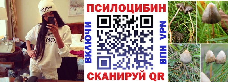 Галлюциногенные грибы Magic Shrooms Купино